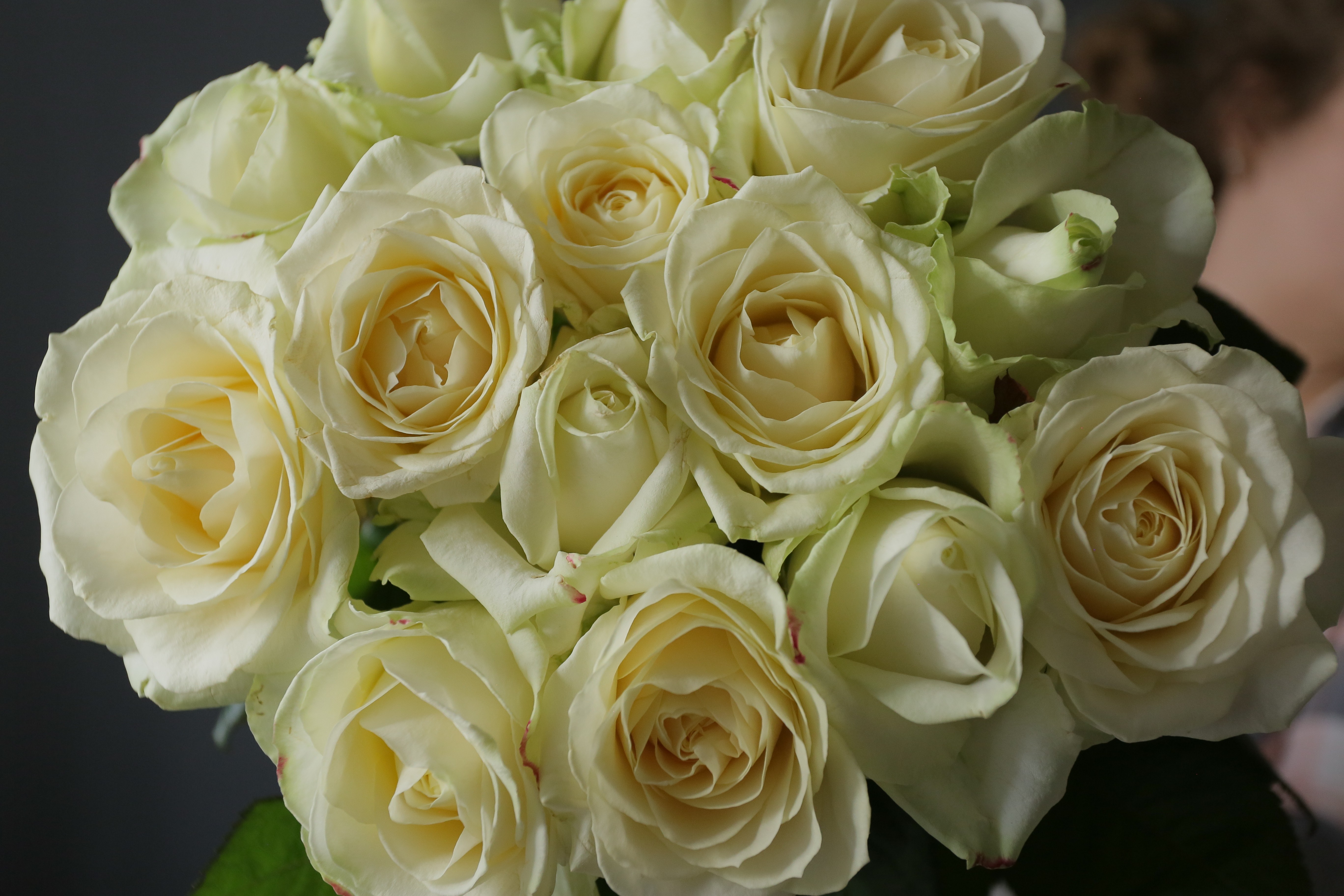 Белые розы, фото=1